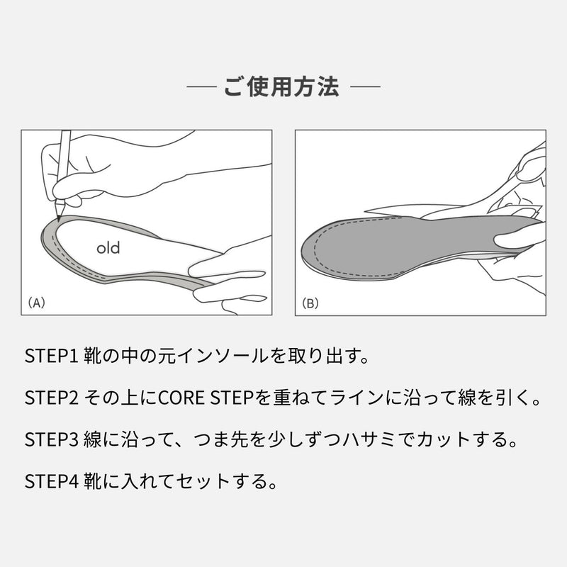Core Steps CORE STEP