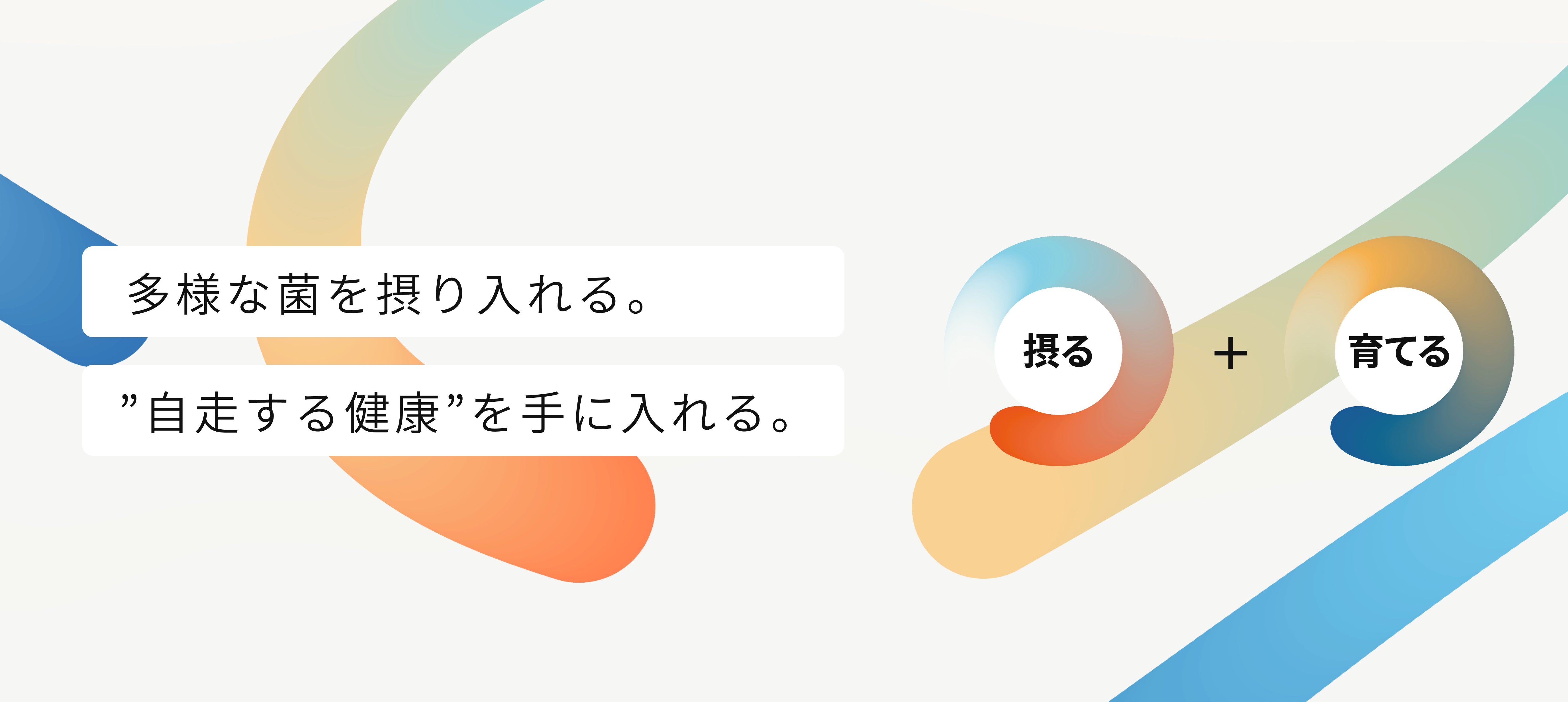 ダイエット　腸活　免疫力　副腎　自律神経　本まとめ売り ダイエット 腸活 免疫力 副腎 自律神経 本まとめ売り